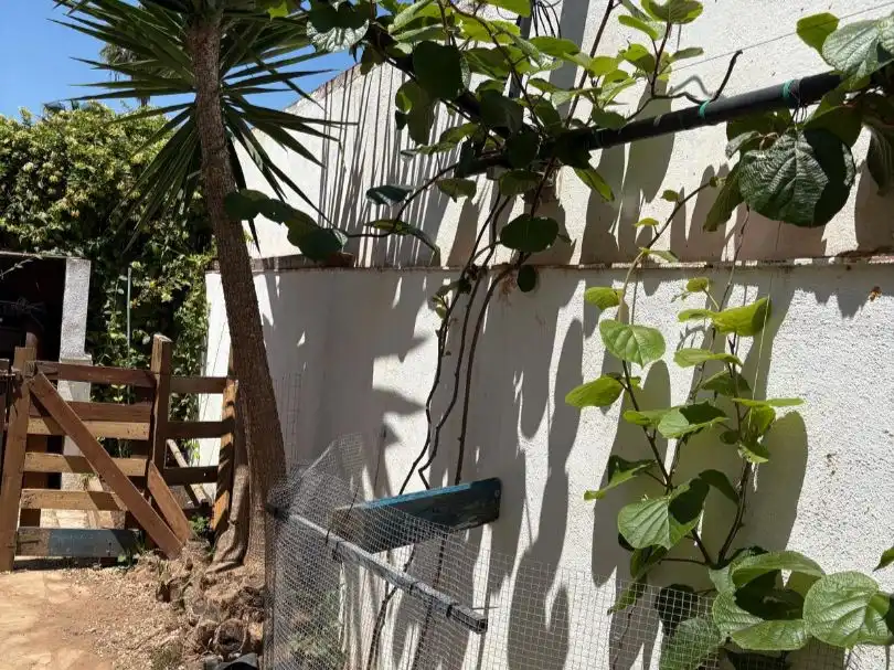 Jardí de Casa o xalet en venda en Vinaròs amb Aire condicionat, Calefacció i Jardí privat