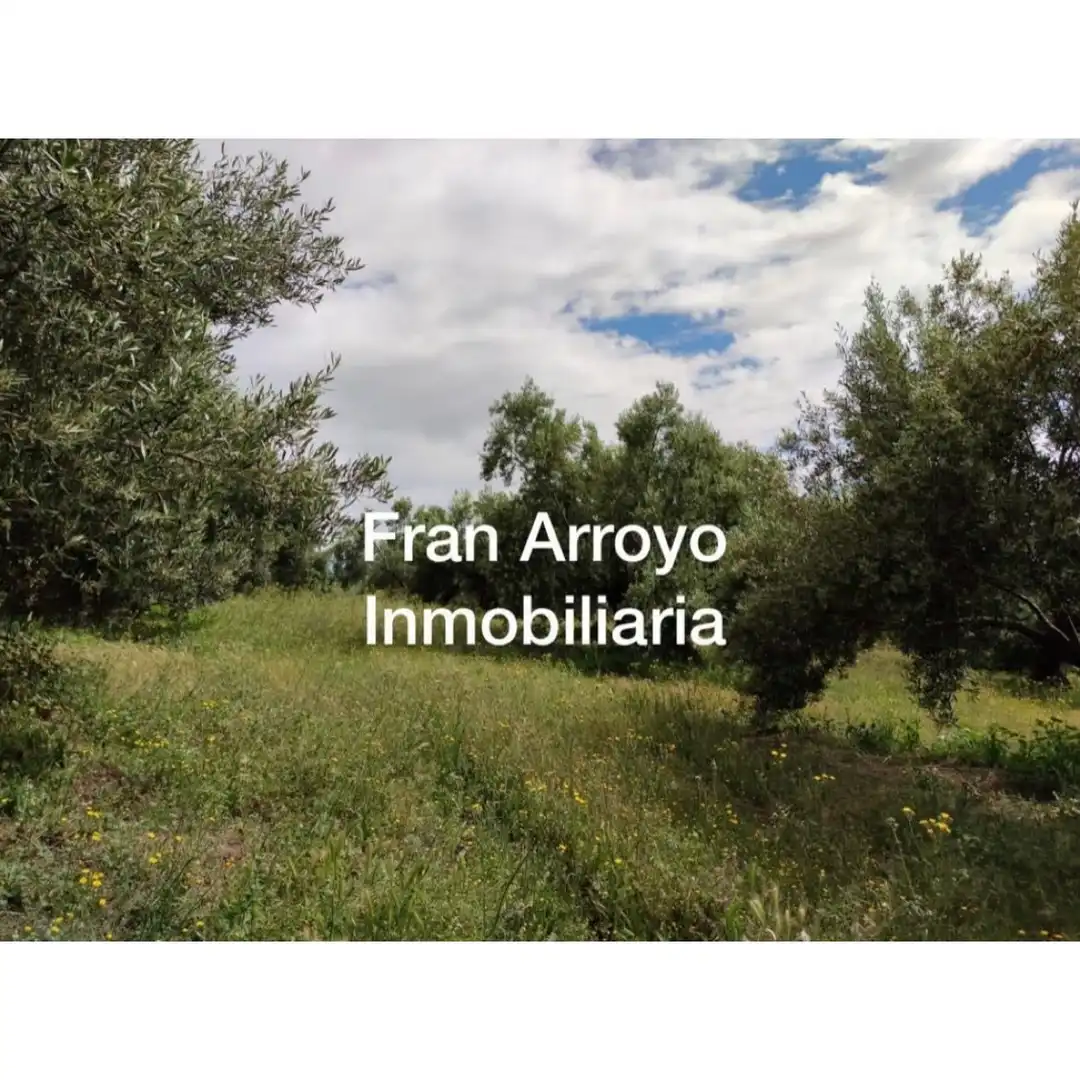 Terrenos y solares en venta en Úbeda, imagen 5