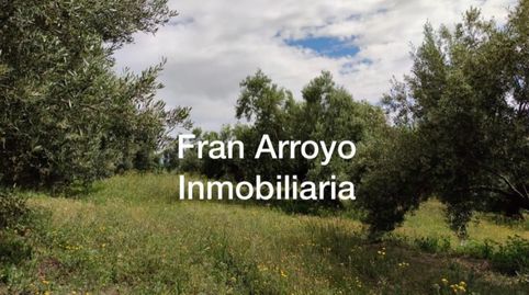 Terreno en venta en Carretera Úbeda-Madrid, Úbeda, immagine 5