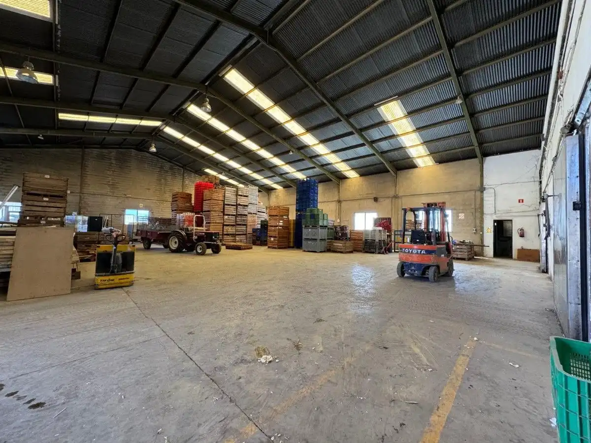 Nave industrial in vendita a La Llosa de Ranes, imagen 9