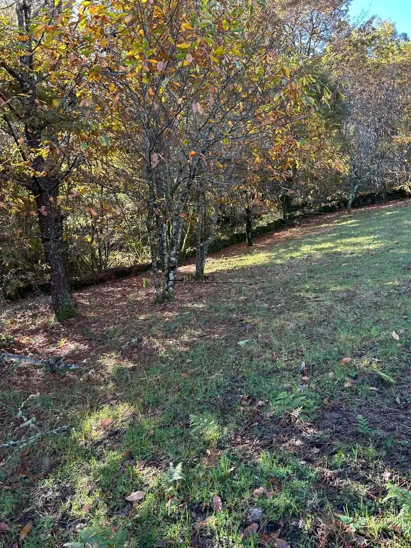 Casa o xalet en venda en Cerdedo amb Jardí privat