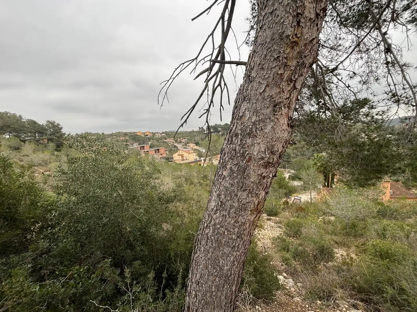 Wohnbaugrundstück zum Verkauf in Olivella, imagen 28