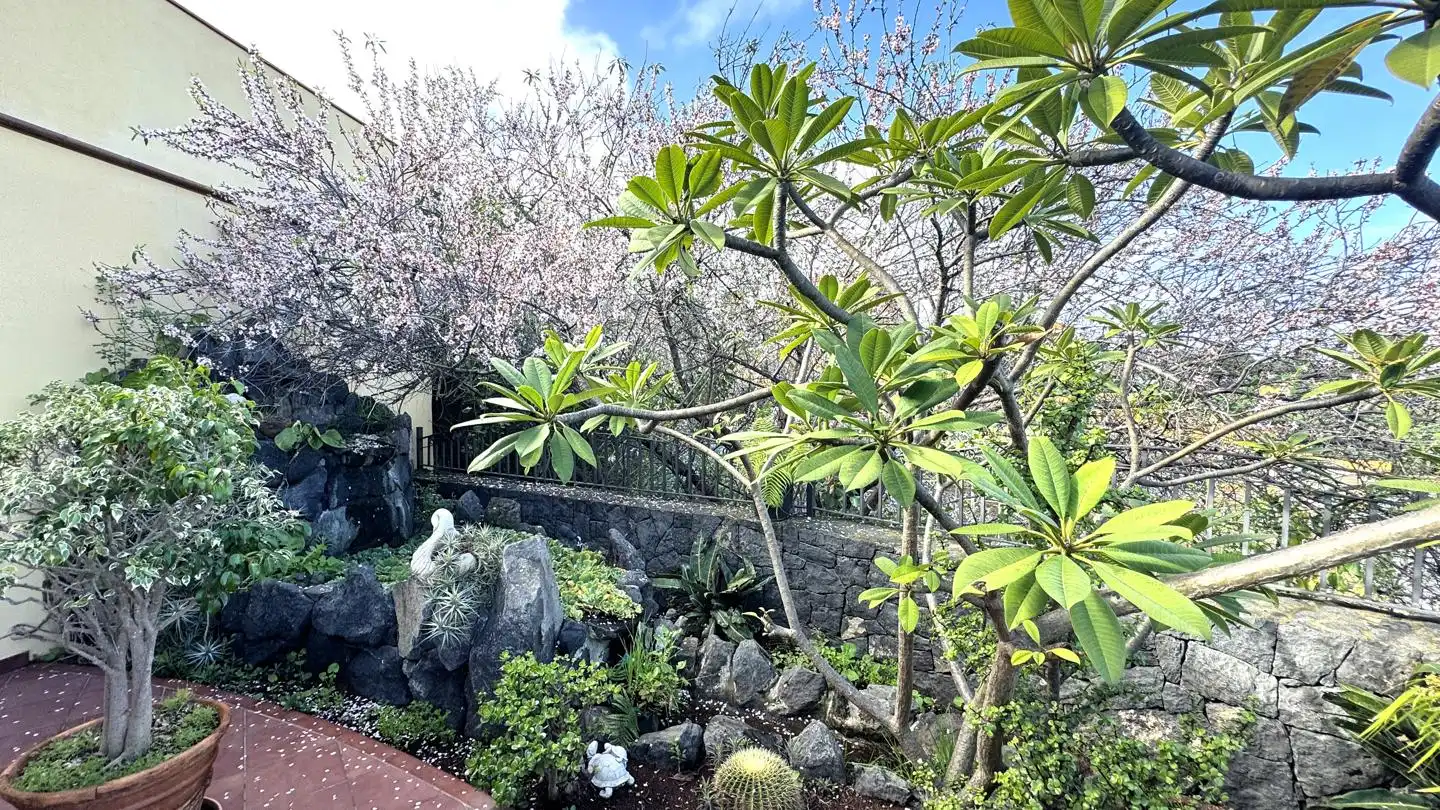 Casa con jardín en venta en La Guancha, imagen 84