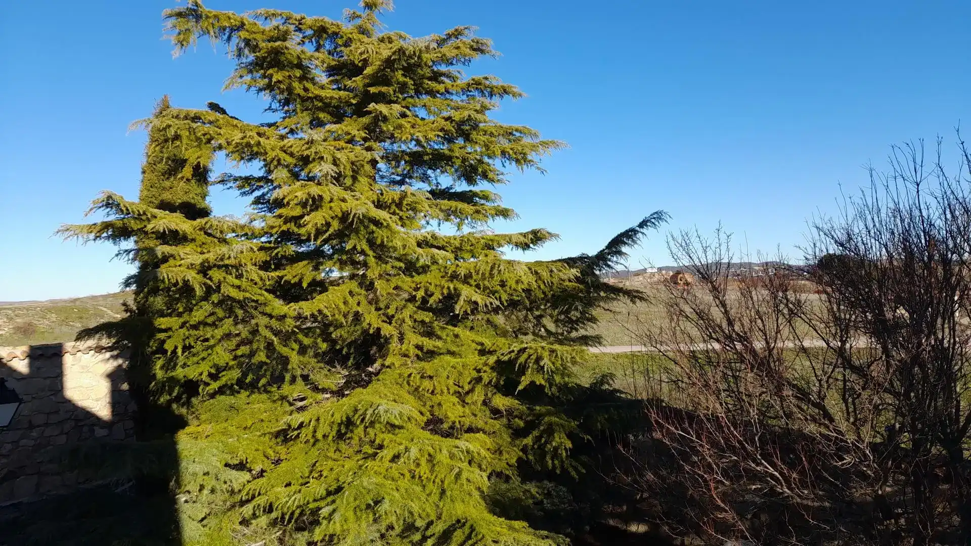 Jardín de Finca rústica en venta en Cuenca con Aire acondicionado, Jardín privado y Parquet