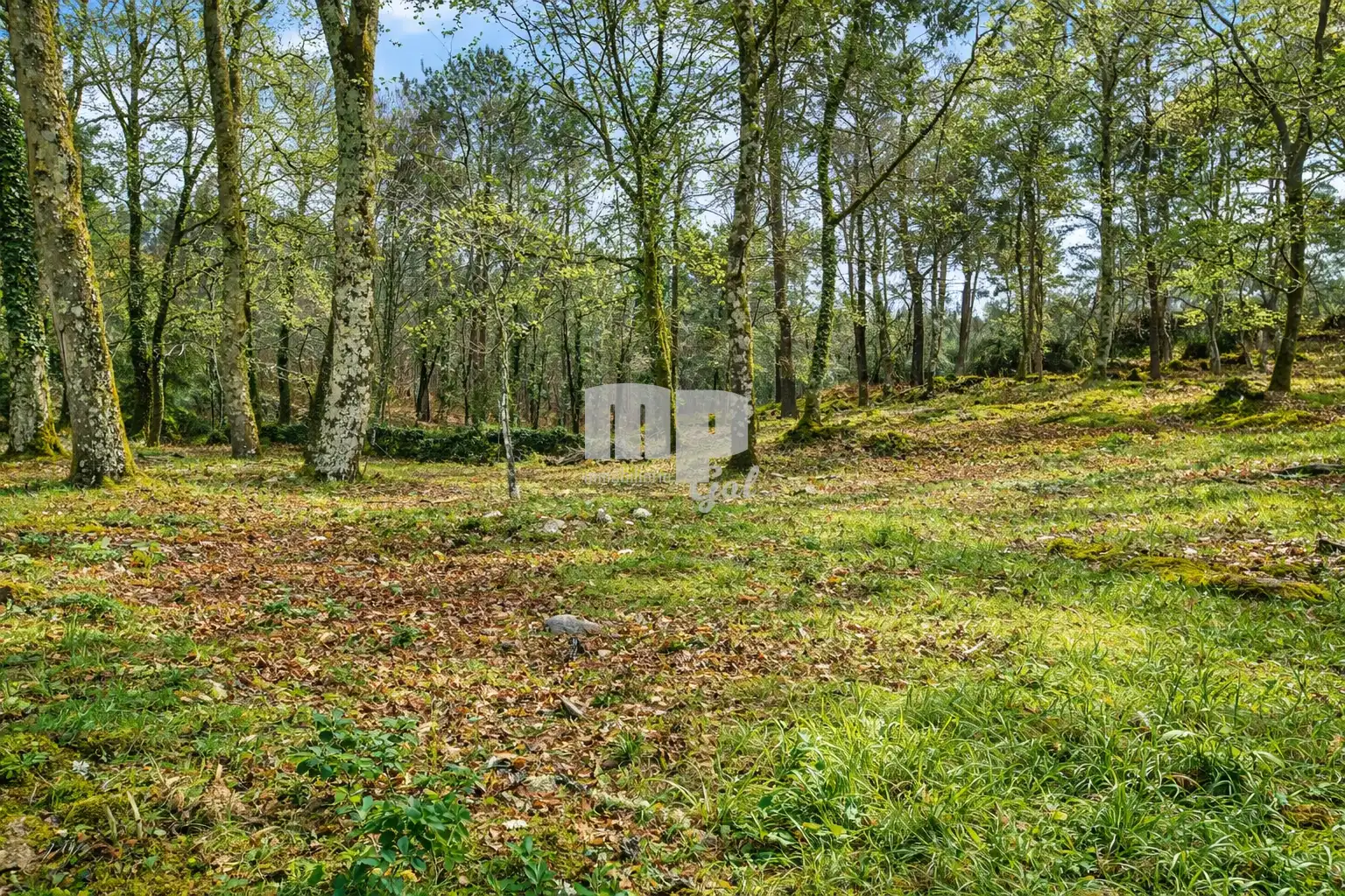Casa rústica amb jardí en venda a Camiño da Bouza, imagen 10