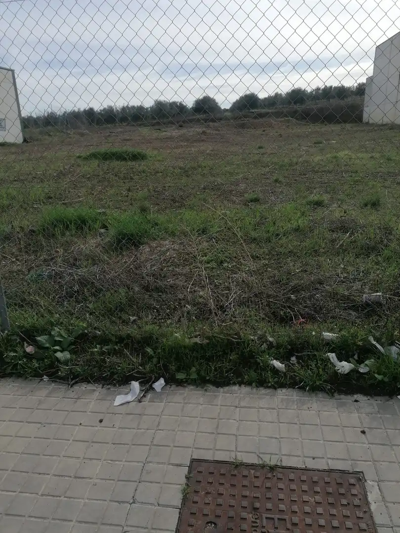 Industriegrundstück zum Verkauf in La Carlota