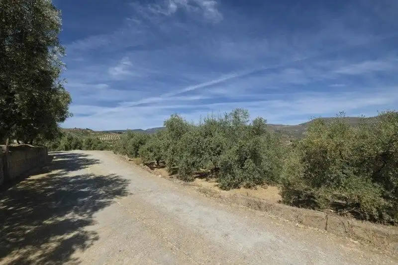 Terreno rustico in vendita a El Valle, imagen 22