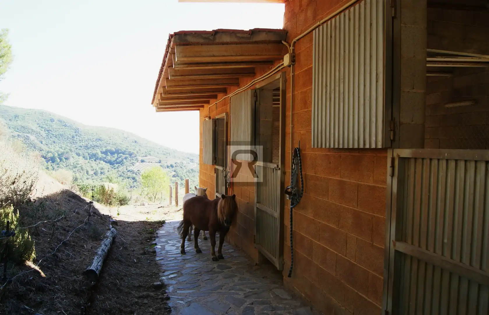 Vista exterior de Finca rústica en venta en L'Albiol con Calefacción, Jardín privado y Piscina