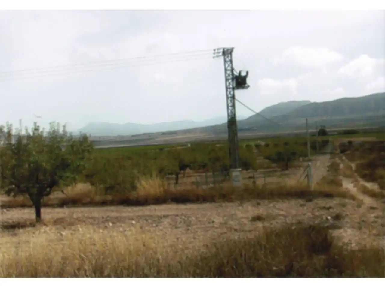 Residential land for sale in 11, imagen 3