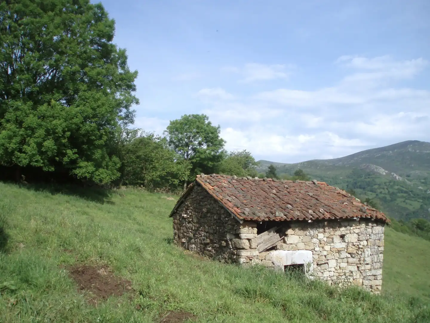 Terreny rústic en venda a Grado, imagen 17