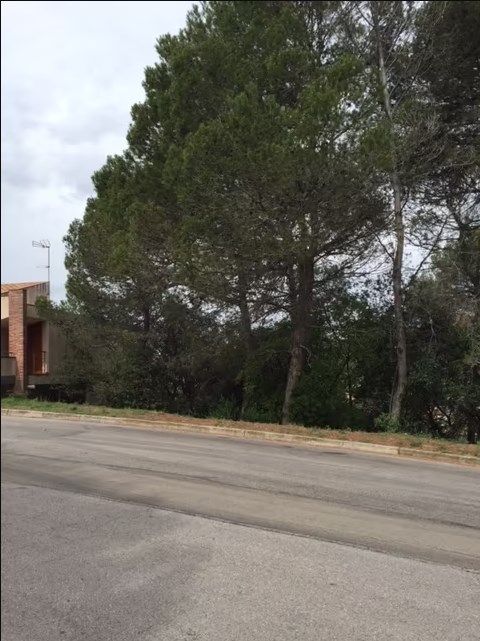 Industrial land for sale in Matadepera