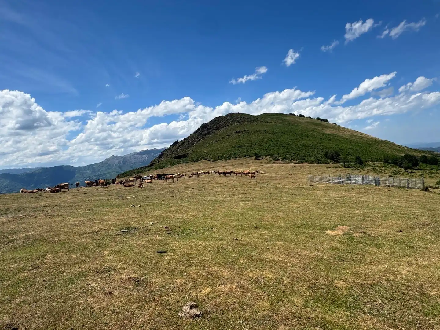 Lands and plots for sale in Lena, imagen 2