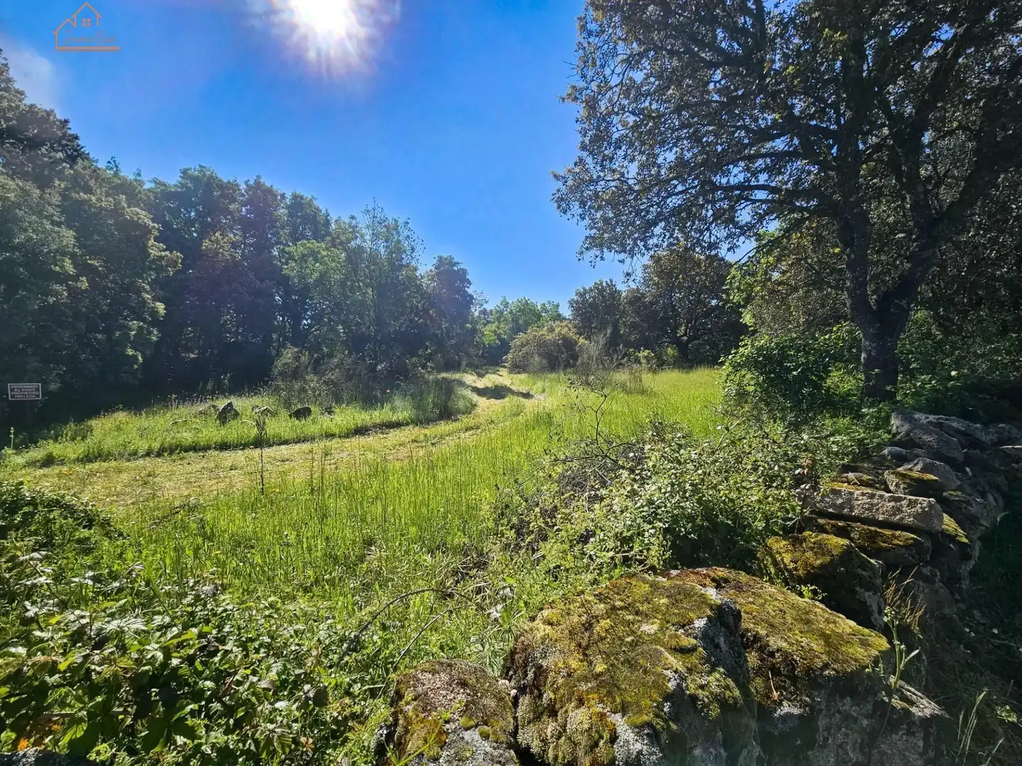 Terreno rustico in vendita a Valdemorillo pueblo, imagen 3