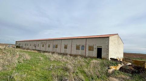 Photo 5 of Industrial buildings for rent in Escalona del Prado, Segovia