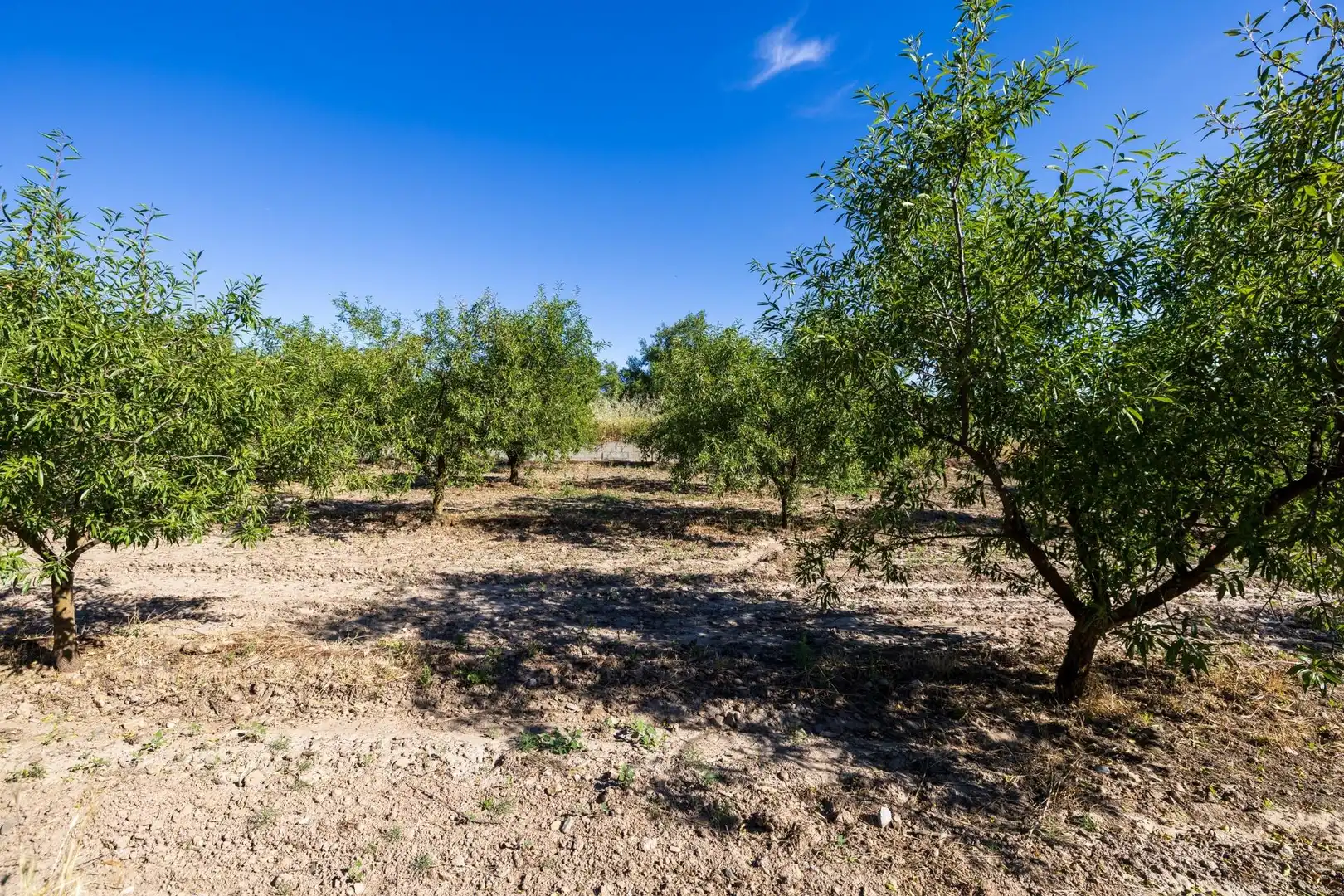Rural land for sale in Dúrcal, imagen 10