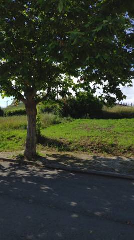 Terreno residencial en Venta en Dexo  -Lorbé