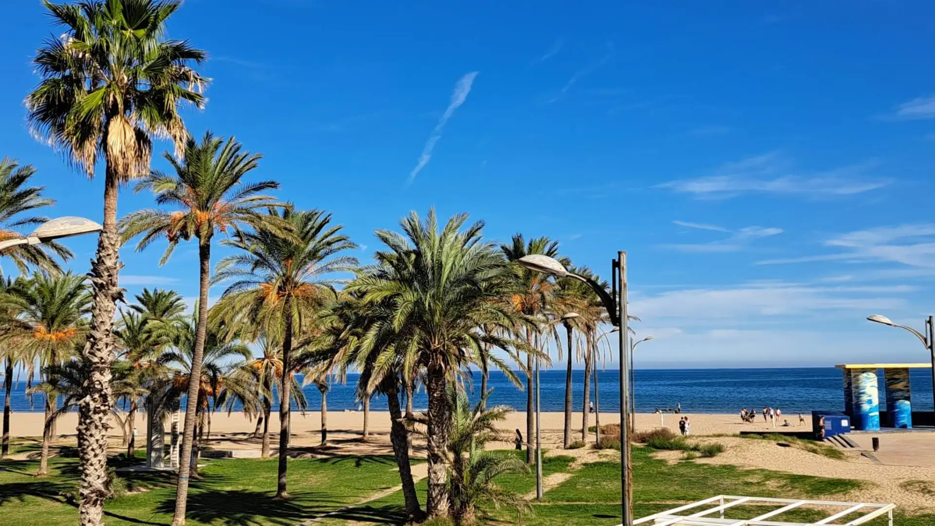Commercial properties for sale in La Patacona