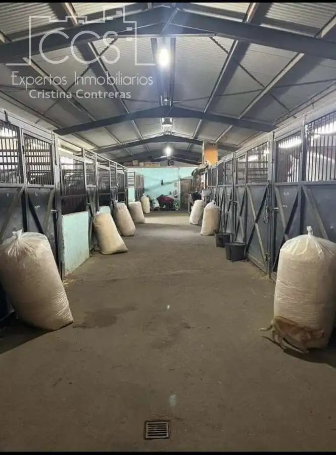 Finca rústica en venda en Pilas