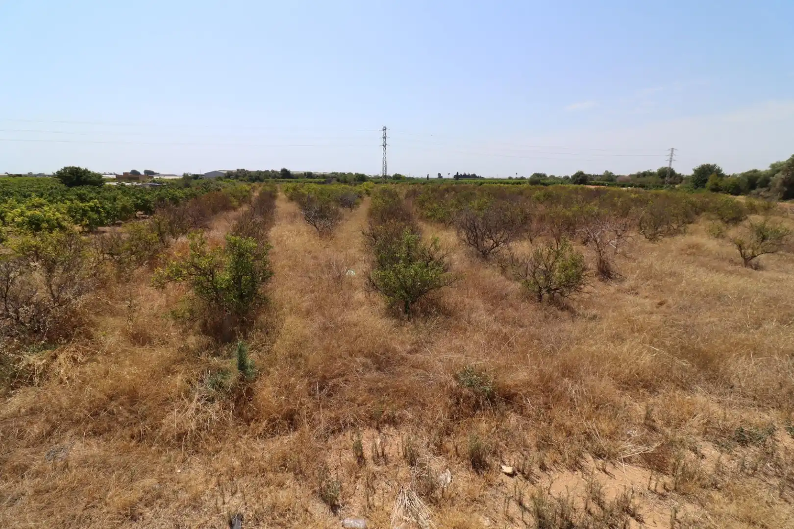 Terreno rustico in vendita a Alcanar, imagen 7