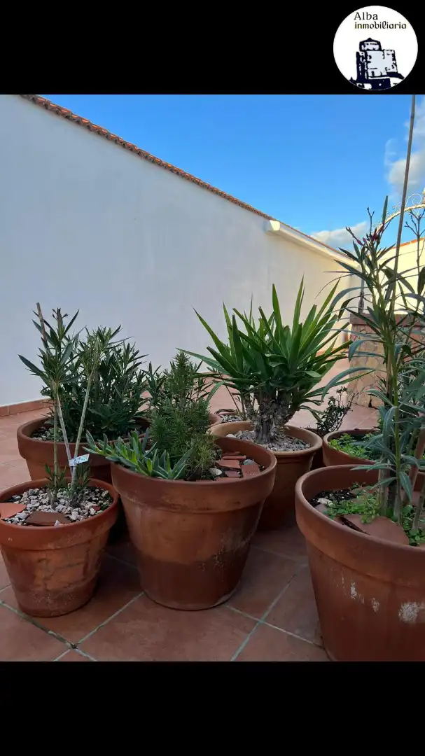 Jardí de Finca rústica en venda en Anaya de Alba amb Terrassa i Moblat