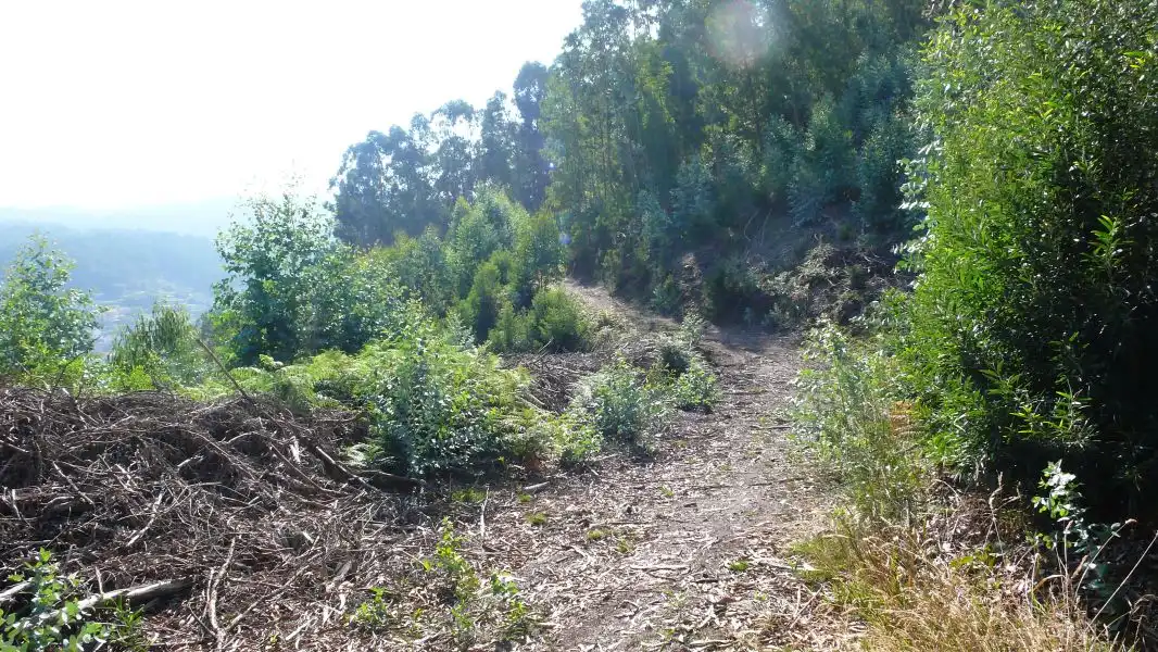 Terreni e lotti in vendita a Ramorta de Arriba, imagen 15