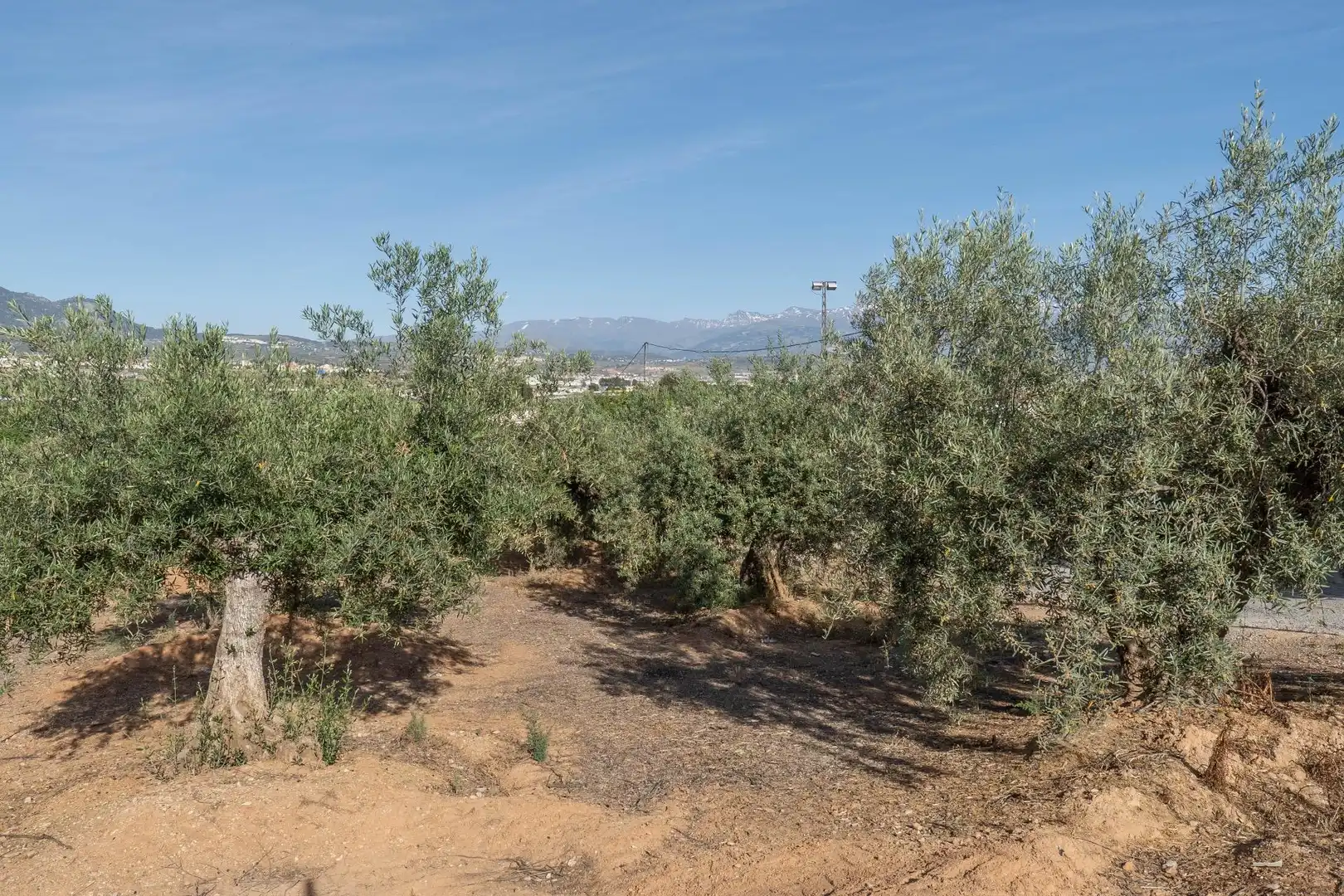 Terreni e lotti in vendita a Albolote, imagen 18
