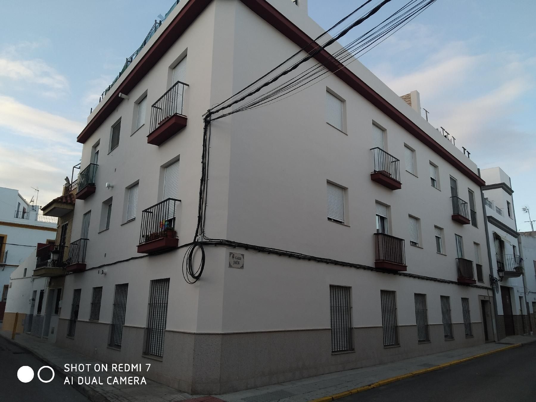 Exterior view of Apartment for sale in La Algaba