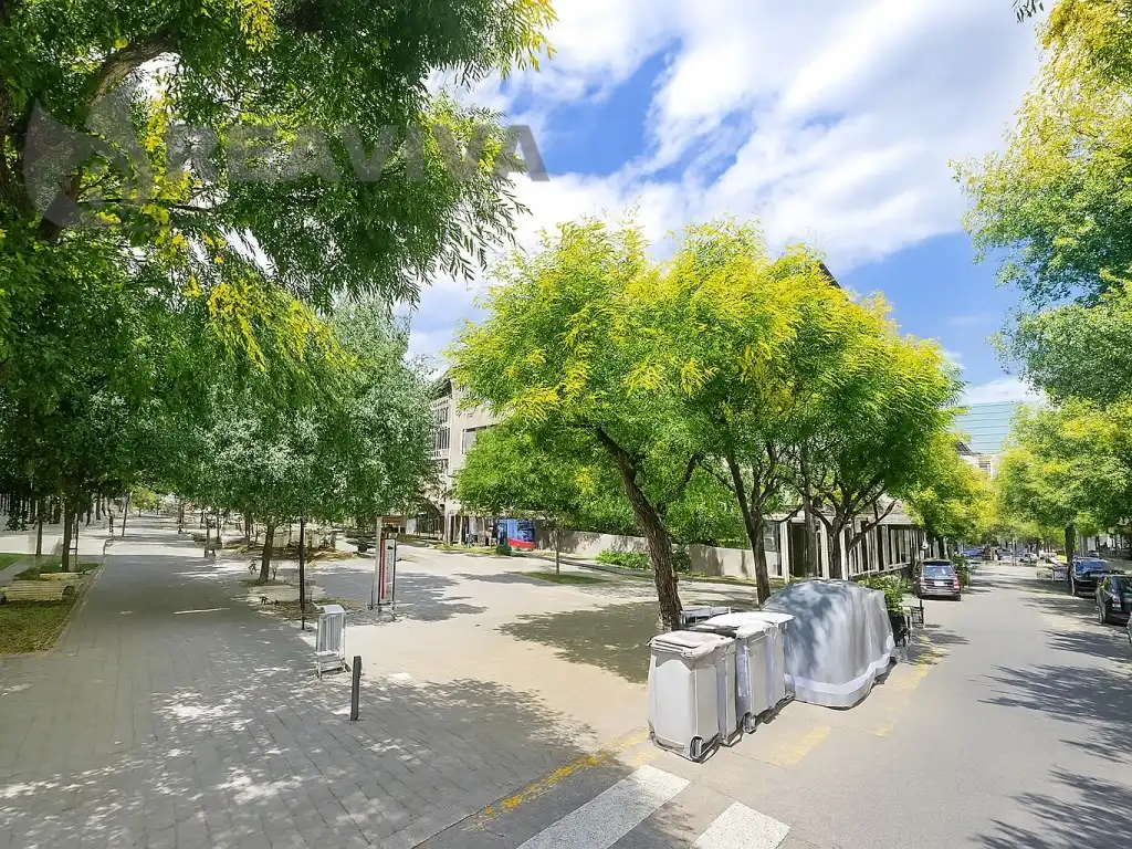 Local comercial de lloguer a Calle Mare Janer, imagen 9