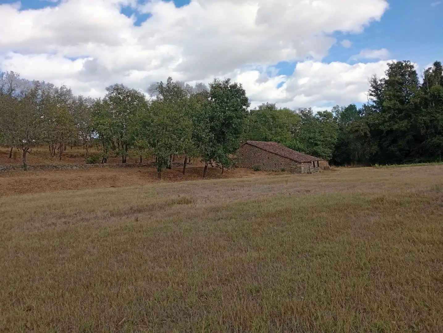 Terreni e lotti in vendita a Villanueva de la Vera, imagen 91