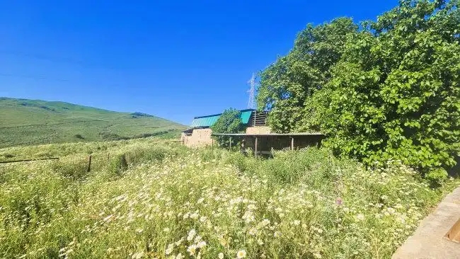 Country house for sale in Jimena de la Frontera