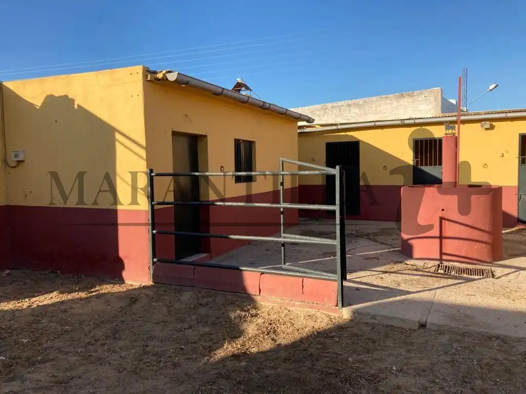 Terreno rustico in vendita a Lepe, imagen 6