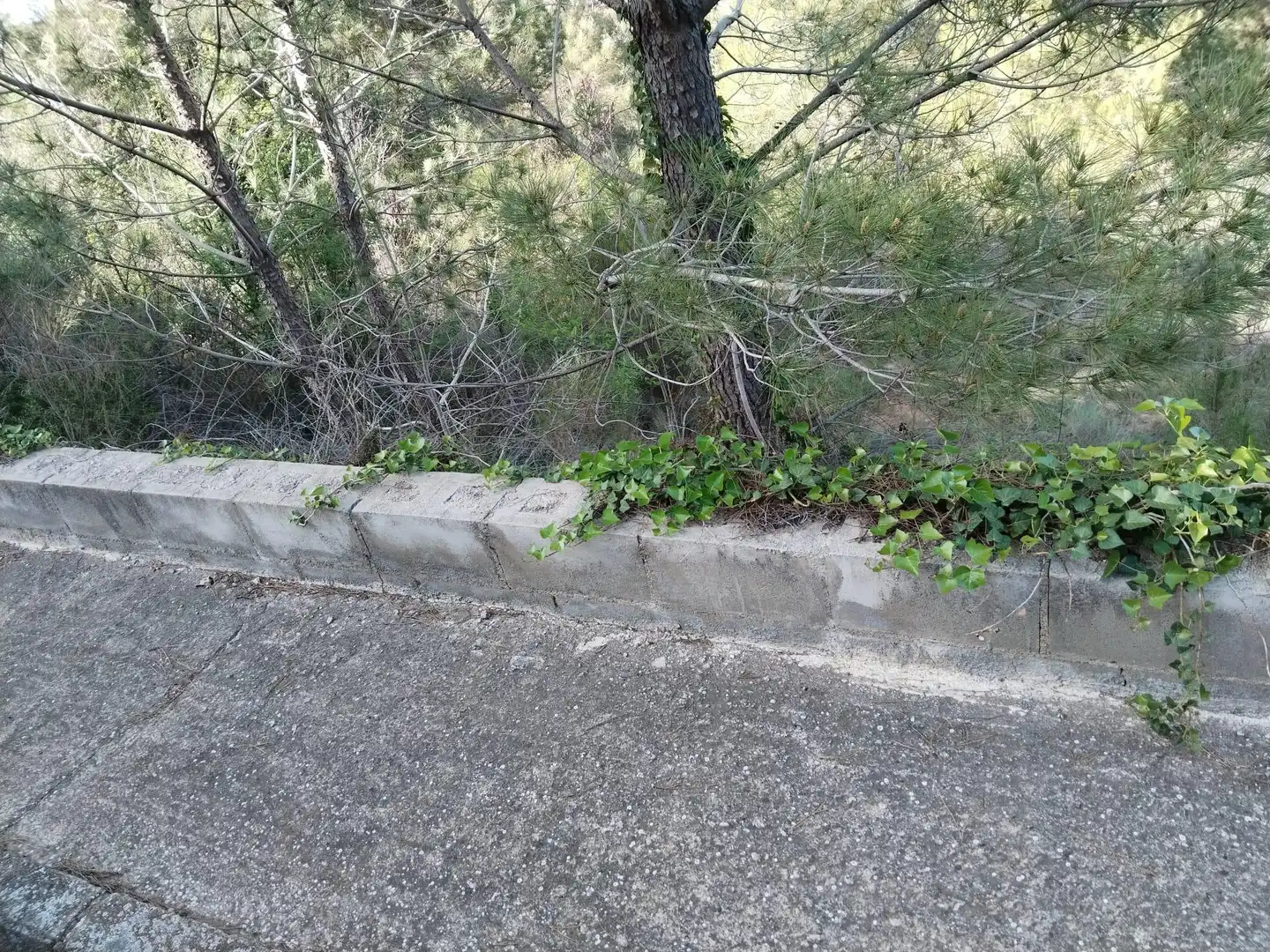 Terreno rustico in vendita a Piera, imagen 5