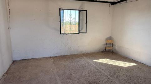 Photo 5 of Land for sale in Camino la Dehesilla, Pedanías Norte, Sevilla