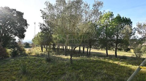 Foto 2 de Terreny en venda a Calle Anyells, Corçà, Girona