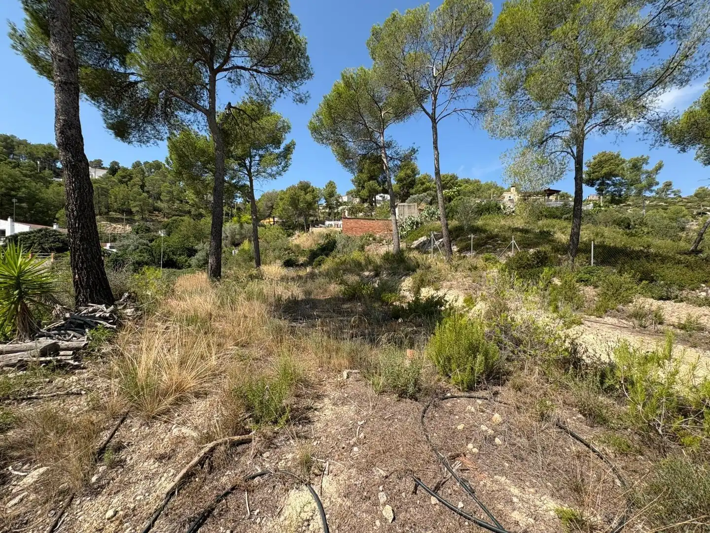 Terreno residenziale in vendita a Carrer Carrer de la Ginesta, 19 19, imagen 10