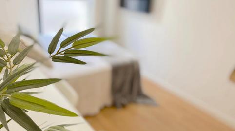 Foto 5 de Habitació a Cruz Roja, Sevilla Capital