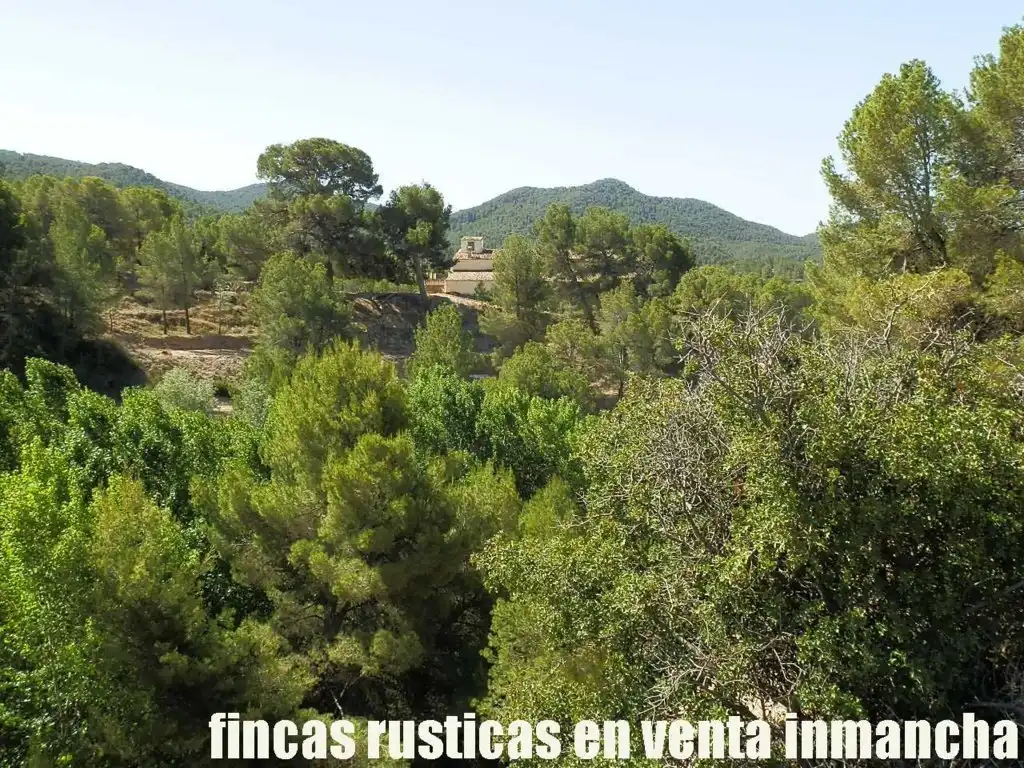 Terreny rústic en venda a Jijona / Xixona, imagen 17