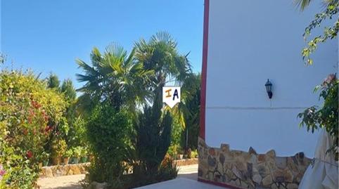 Foto 3 de Finca rústica en venda a Priego de Córdoba, Córdoba