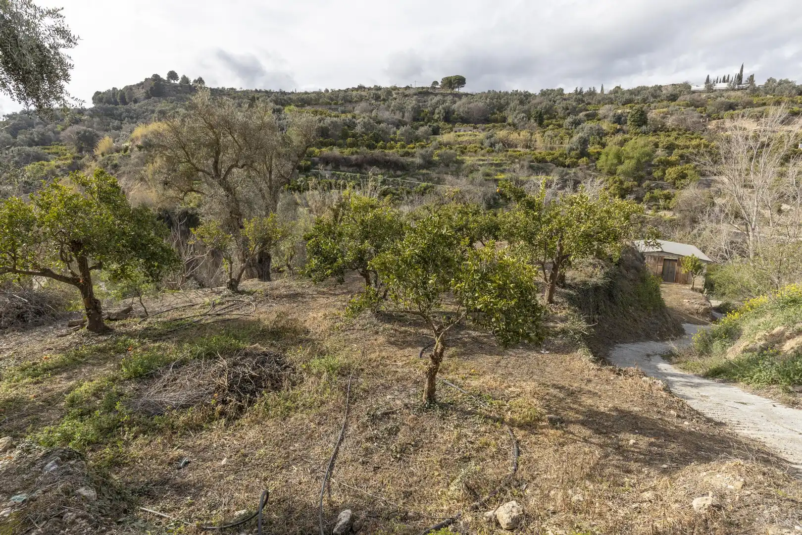 Finca rústica en venta en El Valle, Serón