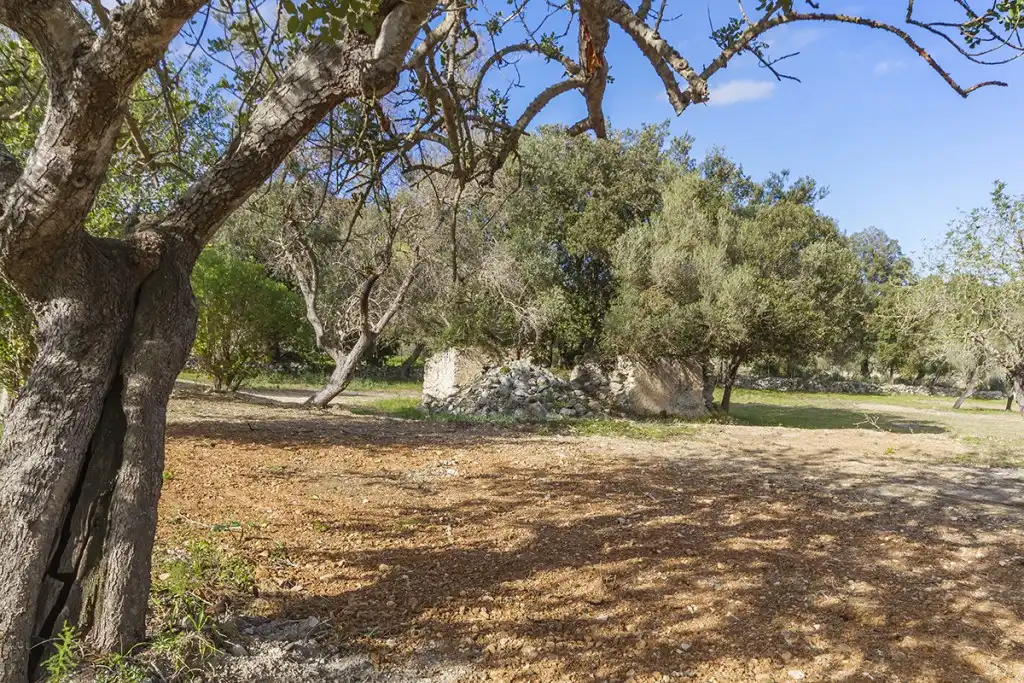 Land for sale in Pollença