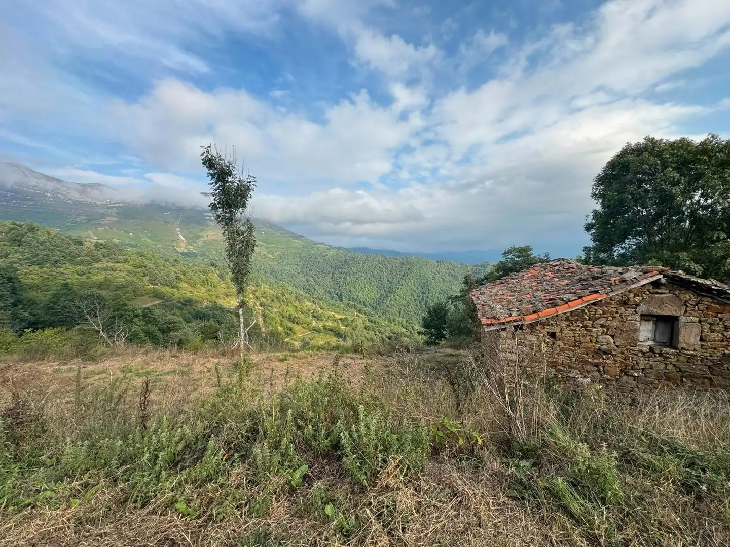Maison rustique à vendre à Quirós, imagen 17