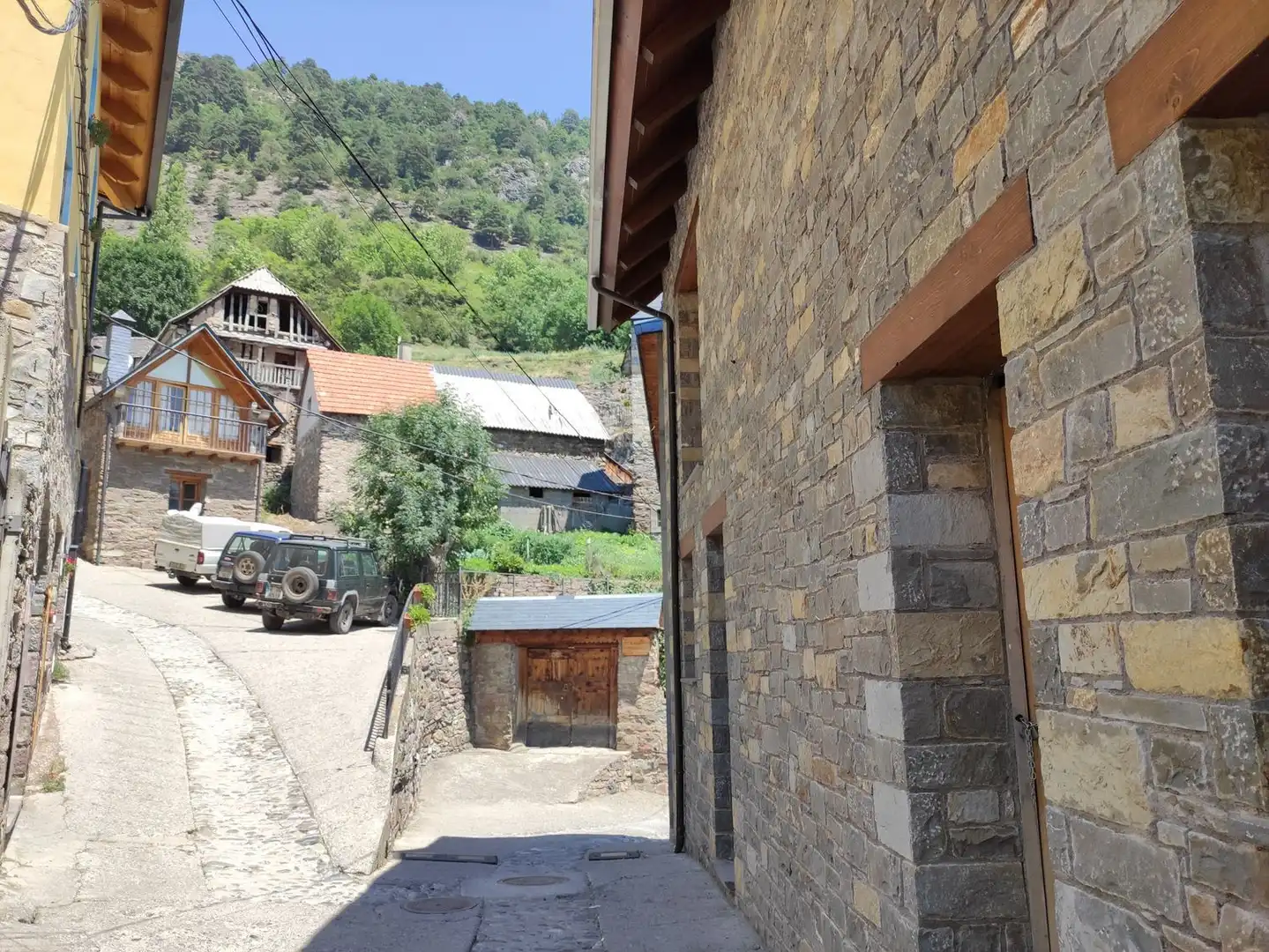 Vista exterior de Casa o xalet en venda en Gistaín amb Traster