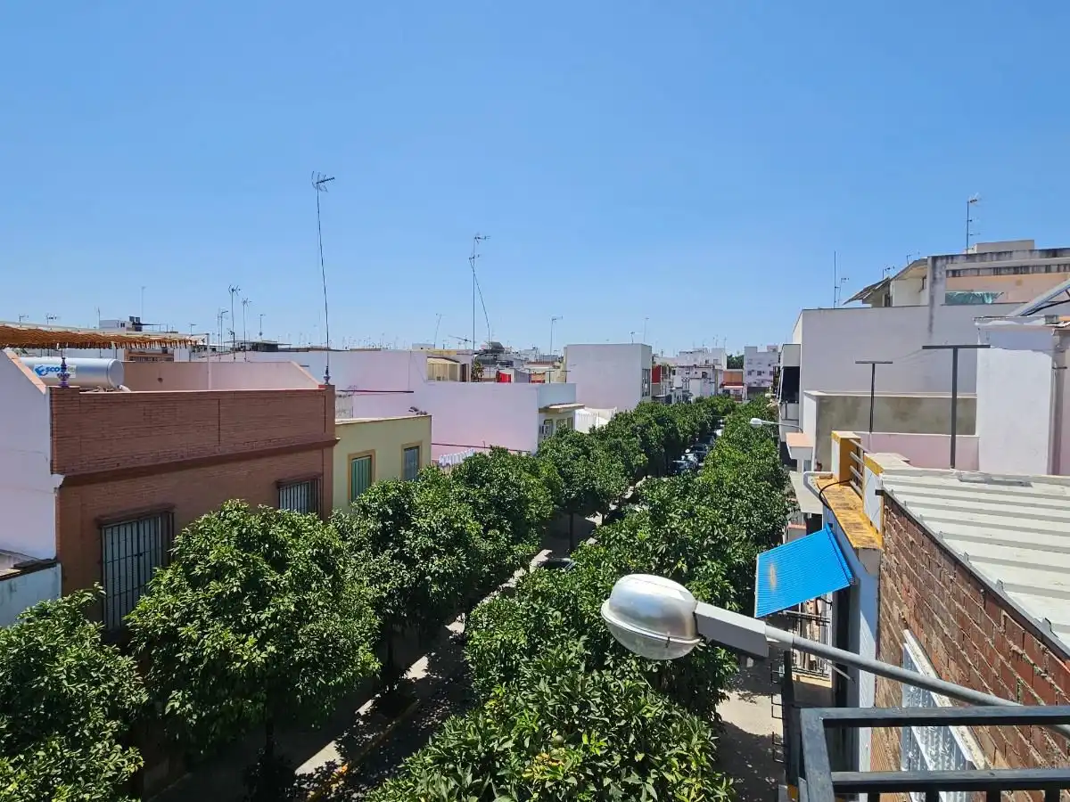 Vista exterior de Pis en venda en Sevilla amb Aire condicionat i Terrassa