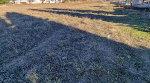Finca Rústica en Venta en  Lucena, Córdoba, imatge 4