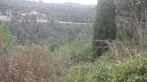 Foto 5 de Residencial en venda a Selva, 63, Lloret Blau - La Creu de Lloret, Girona