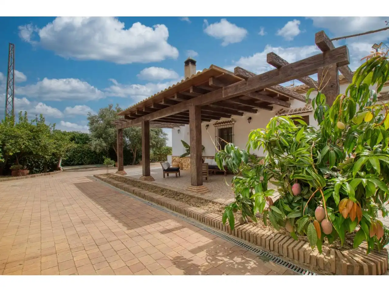 Jardí de Casa o xalet en venda en Periana amb Terrassa i Piscina