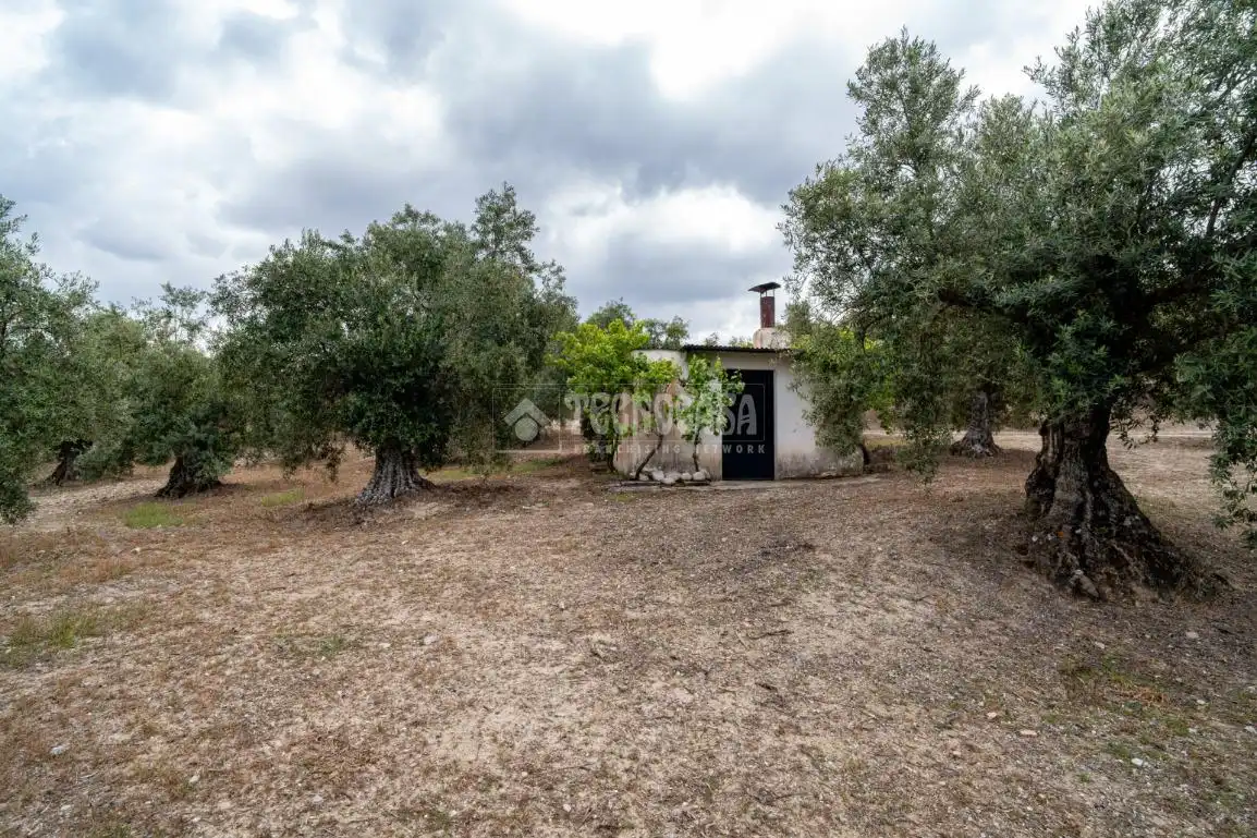 Terreni e lotti in vendita a Albaicín, imagen 36