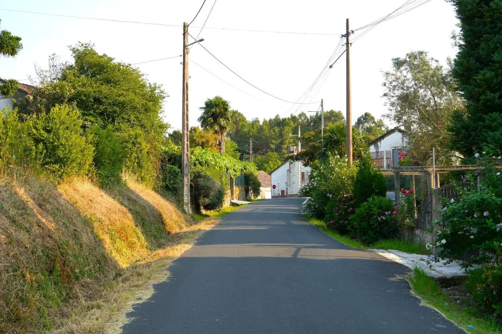 Lands and plots for sale in Lugar Estrada 521, imagen 5
