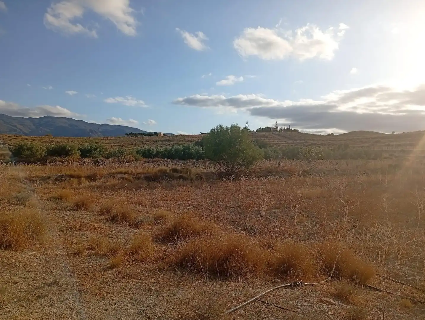 Terrenys i solars en venda a Los Gallardos, imagen 12