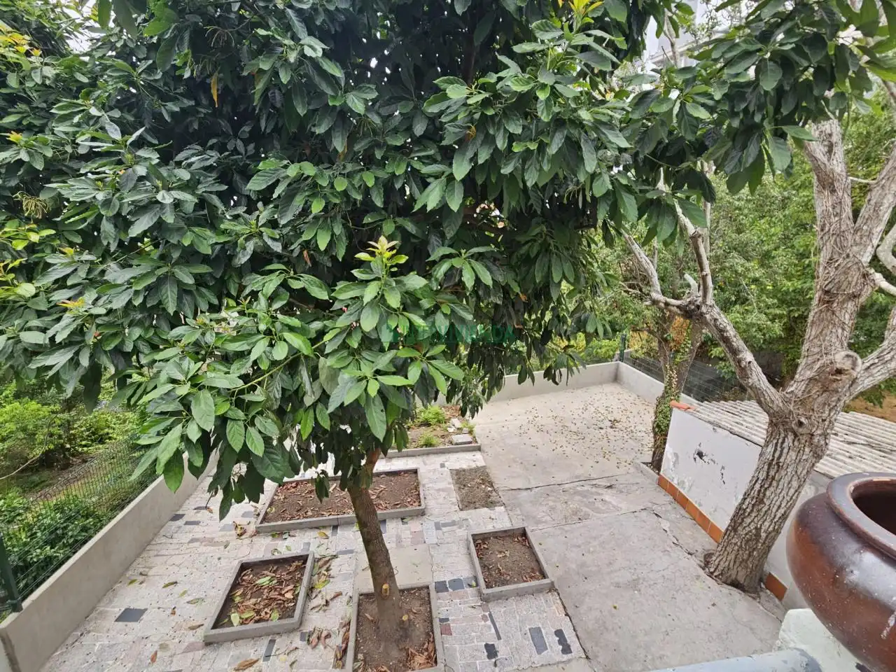 Terrassa de Casa o xalet en venda en Vigo  amb Calefacció, Jardí privat i Parquet